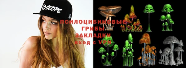меф Арсеньев