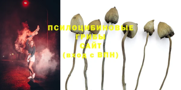 MESCALINE Алзамай