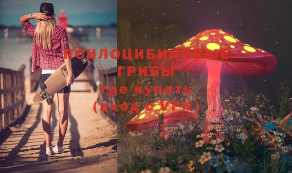 MESCALINE Алзамай